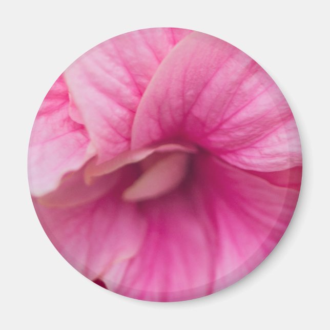 Pink Hibiscus Magnet (Front)