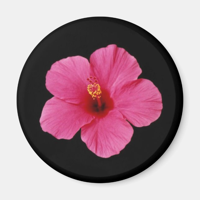 Pink Hibiscus Magnet (Front)