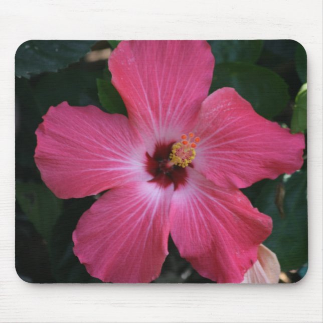 pink hibiscus mouse mat (Front)