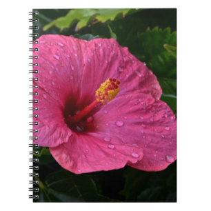 Pink Hibiscus Notebook