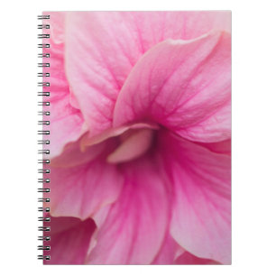 Pink Hibiscus Notebook