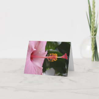 Pink Hibiscus Notecard