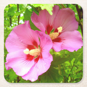 Pink Hibiscus Paper Coaster