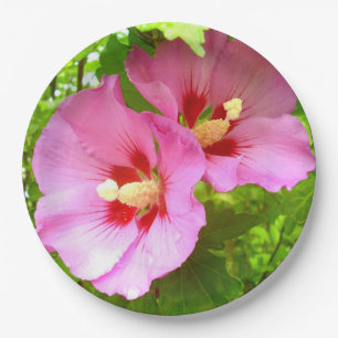 Pink Hibiscus Paper Plate