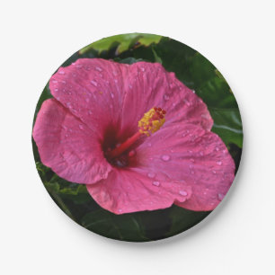 Pink Hibiscus Paper Plate