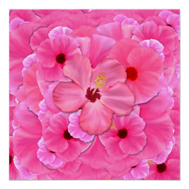 Pink Hibiscus Poster (Front)