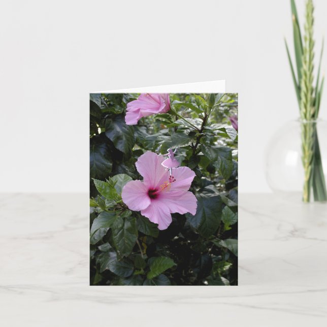 Pink Hibiscus Shadow Fairy Holiday Card (Front)