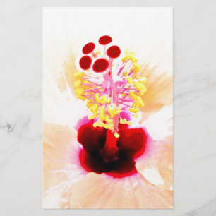 Pink Hibiscus Stationery