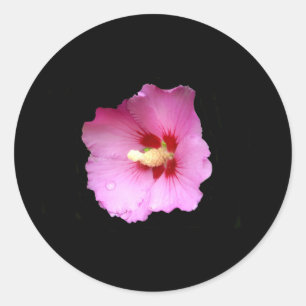 Pink Hibiscus Stickers