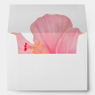 Pink Hibiscus • Tropical Bloom • 5x7 Printed Envelope