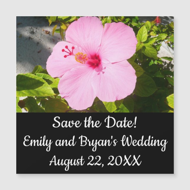 Pink Hibiscus Tropical Flower (Front)