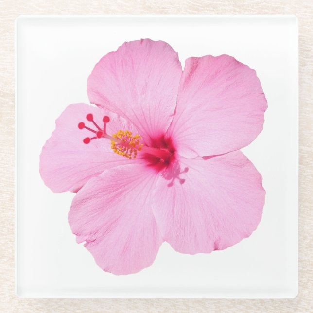 Pink Hibiscus Tropical Flower Glass Coaster (Front)