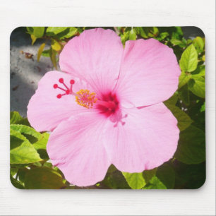 Pink Hibiscus Tropical Flower Mouse Mat