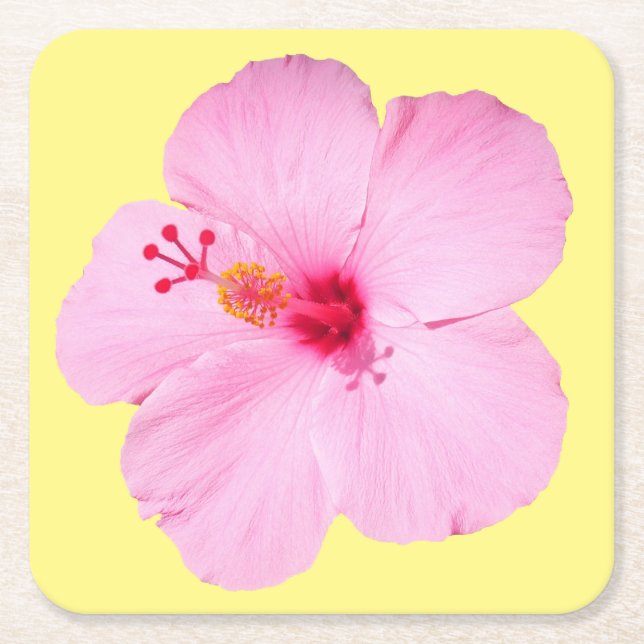 Pink Hibiscus Tropical Flower Square Paper Coaster (Front)