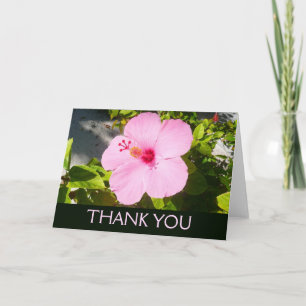 Pink Hibiscus Tropical Flower Thank You Card