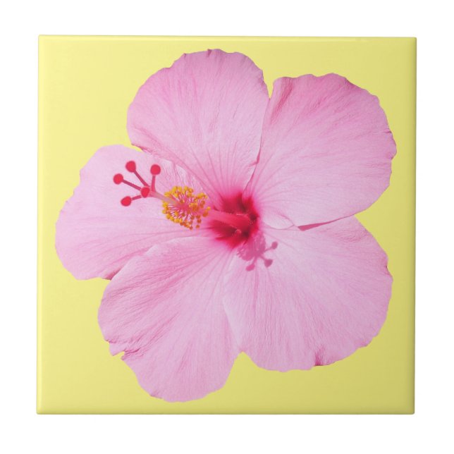 Pink Hibiscus Tropical Flower Tile (Front)