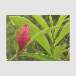 Pink Hibiscus Tropical Flower Tissue Paper