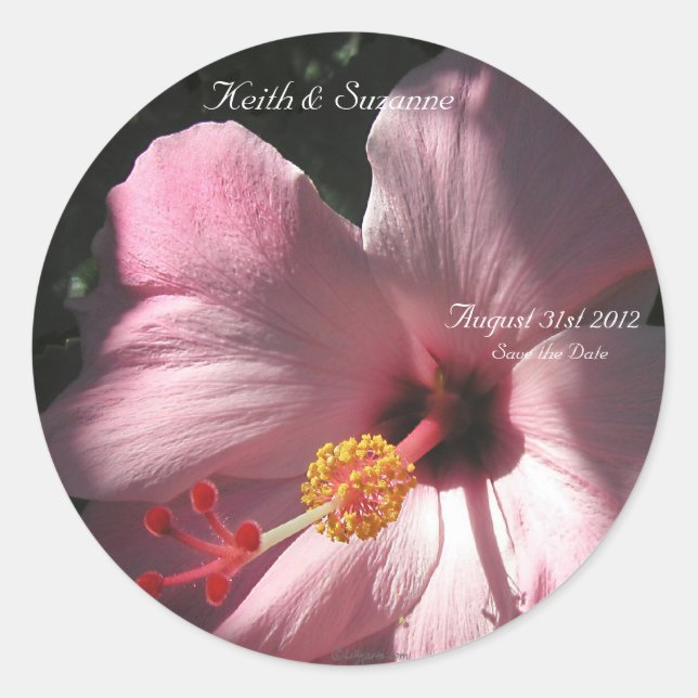 Pink Hibiscus Tropical Flowers Envelope Seals (Front)