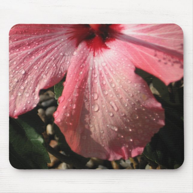 Pink Hibiscus Water Drops Mouse Mat (Front)