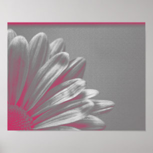 Pink Highlighted Flower Poster