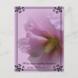 Pink Hollyhock Postcard