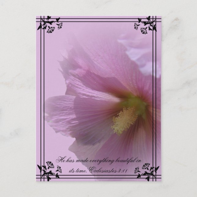 Pink Hollyhock Postcard (Front)