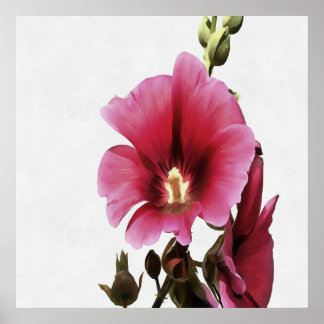 Pink Hollyhock Poster