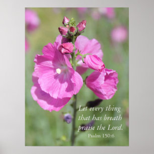 Pink Hollyhock Praise Poster