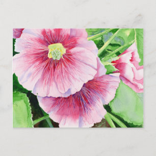 Pink Hollyhocks Postcard