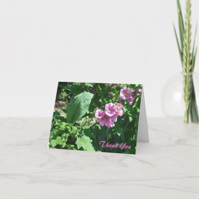 Pink Hollyhocks Thank You (Front)