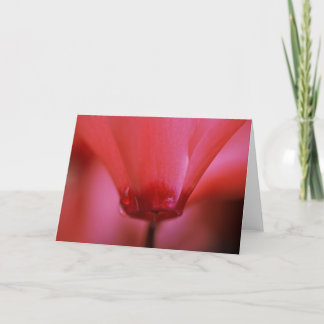 Pink Hot Greeting Card