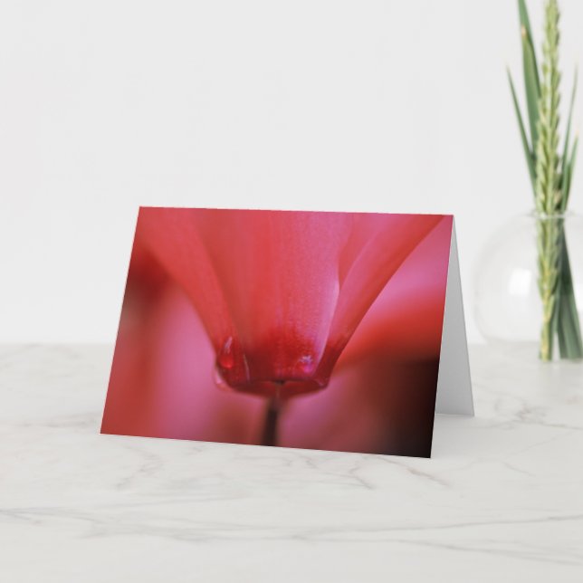 Pink Hot Greeting Card (Front)