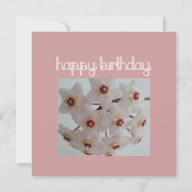Pink Hoya Flower Birthday Card (Front)