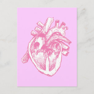 Pink Human Heart Postcard