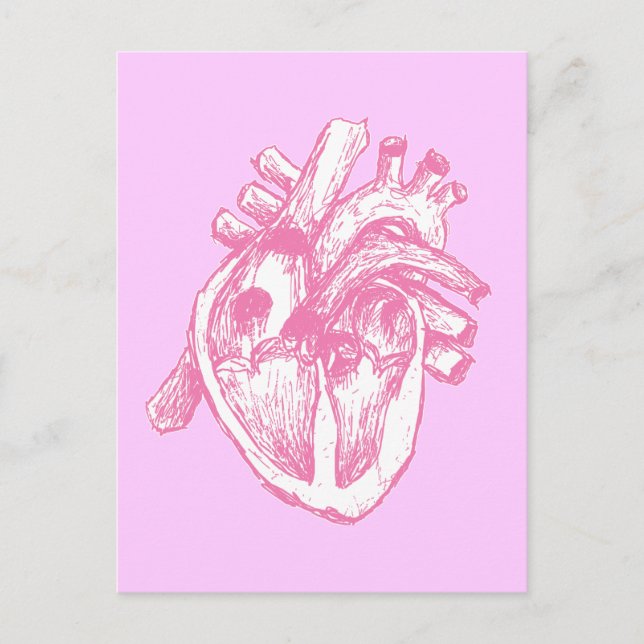 Pink Human Heart Postcard (Front)