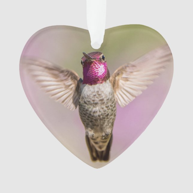Pink Hummingbird Monogram Name Ornament (Front)