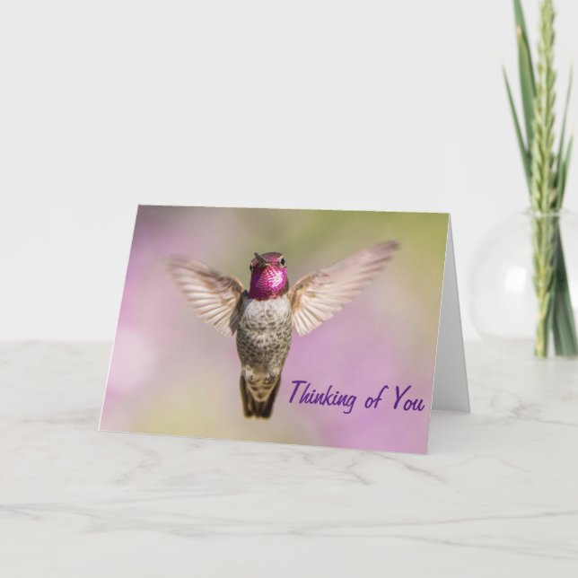 Pink Hummingbird Thinking of You Card (Front)