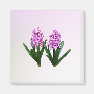Pink Hyacinth Duo Magnet