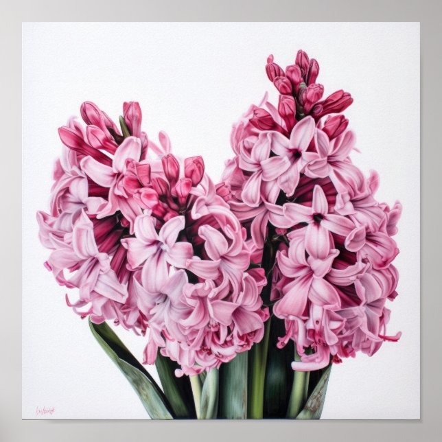 Pink Hyacinth Flower Art Print Poster (Front)