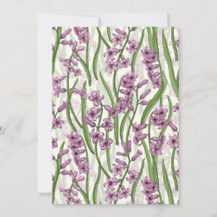 Pink Hyacinth flowers on natural white