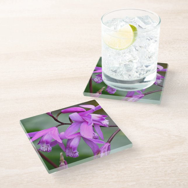 Pink Hyacinth Orchid Floral Glass Coaster (Angled)