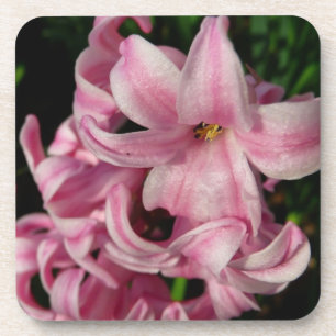 Pink Hyacinth Spring Floral Coaster