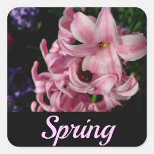 Pink Hyacinth Spring Floral Square Sticker