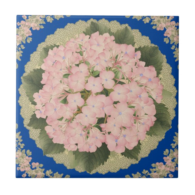 Pink Hydrangea Blooms Floral blue Ceramic Tile (Front)