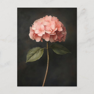 Pink Hydrangea Botanical Painting Postcard