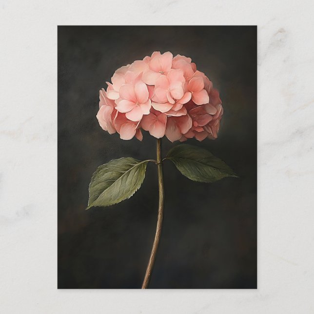 Pink Hydrangea Botanical Painting Postcard (Front)
