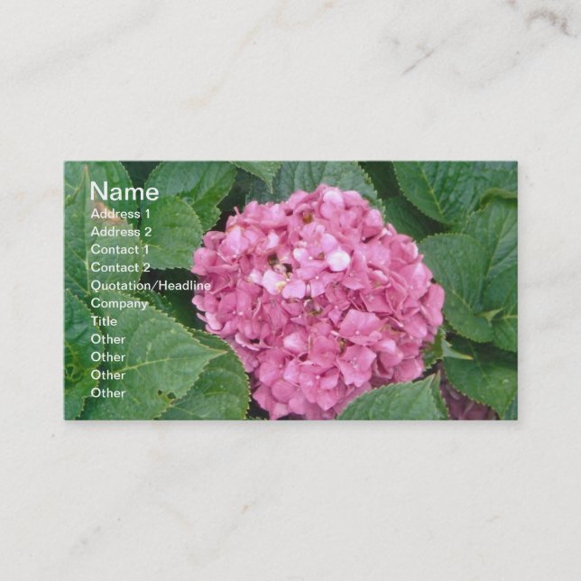 Pink Hydrangea Business Card (Front)