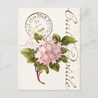 Pink Hydrangea Carte Postale Flower Vintage French