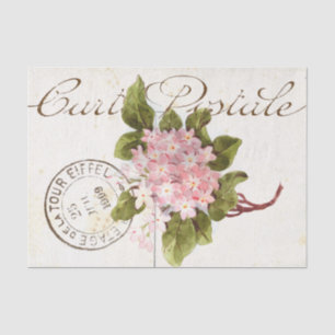 Pink Hydrangea Carte Postale Flower Vintage French Tissue Paper