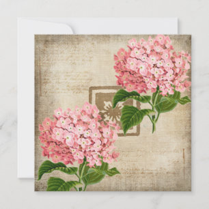Pink Hydrangea Clusters Flat Greeting Card
